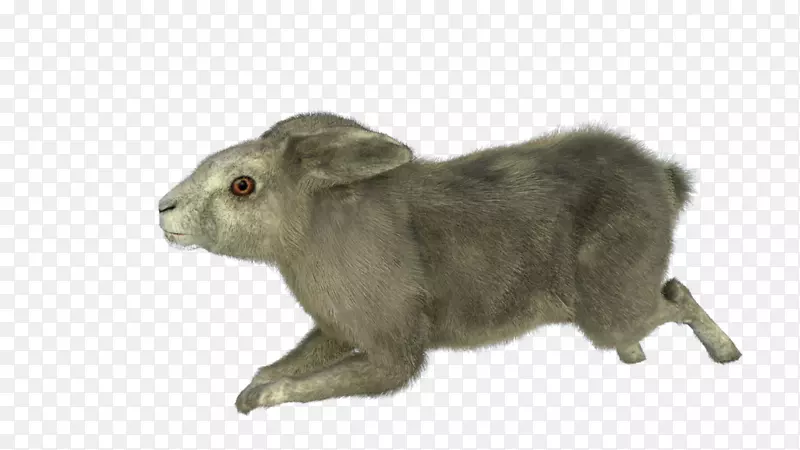 ������½������ëƤ����-������