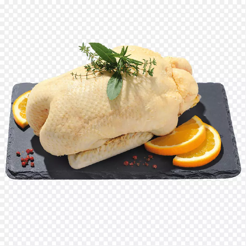 ��ϵ����-����-������