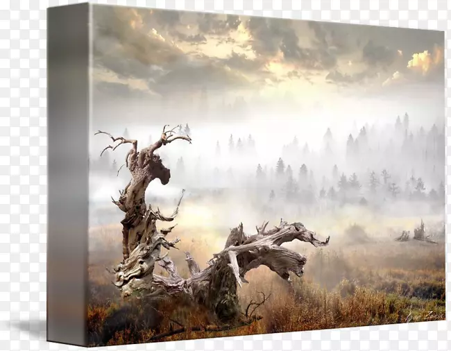 �����ֽ���ﻭ����Ի滭-������