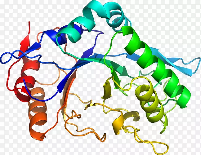 ���߼�����-��-������