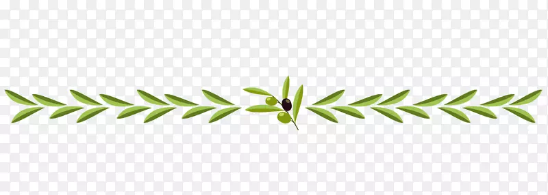 �ݽ�ϵ-������