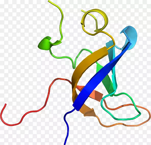 �ߵ������-��-������