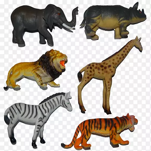 ����è½������-�ϻ�-������