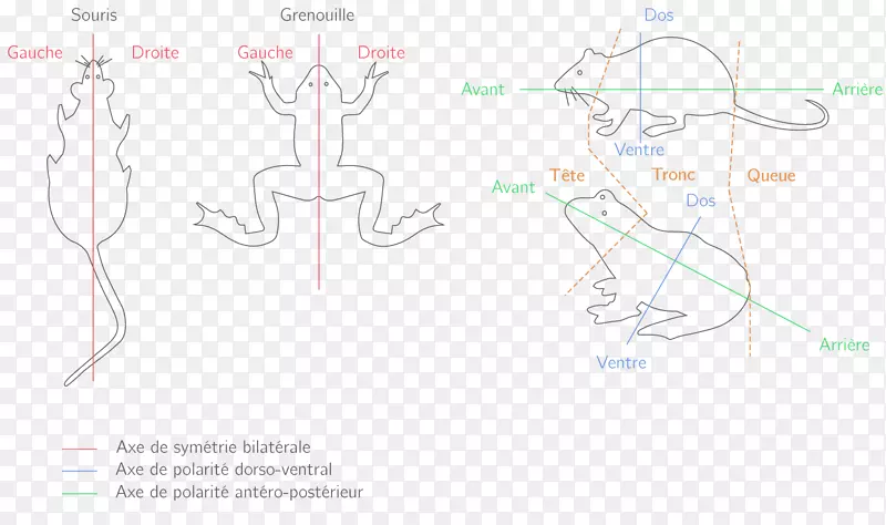 �������-������