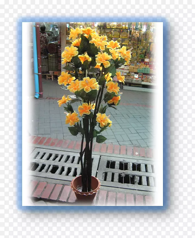 �������-������