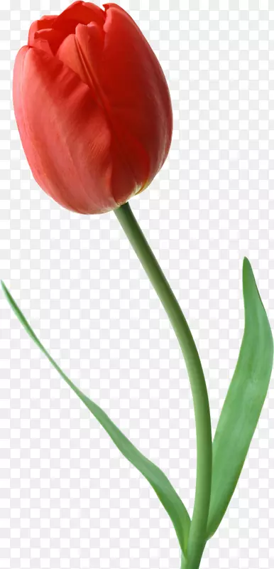 Ӣ�����ʵؼ��������㻨԰�л�õ��������-������