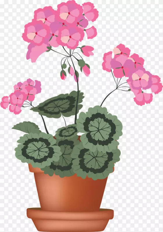 ���ÿ�-������