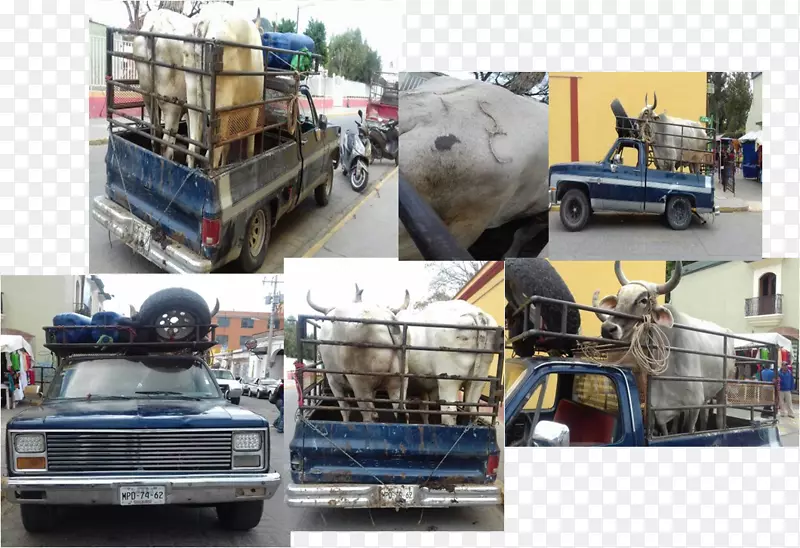 ���������������̿�����е-����-������