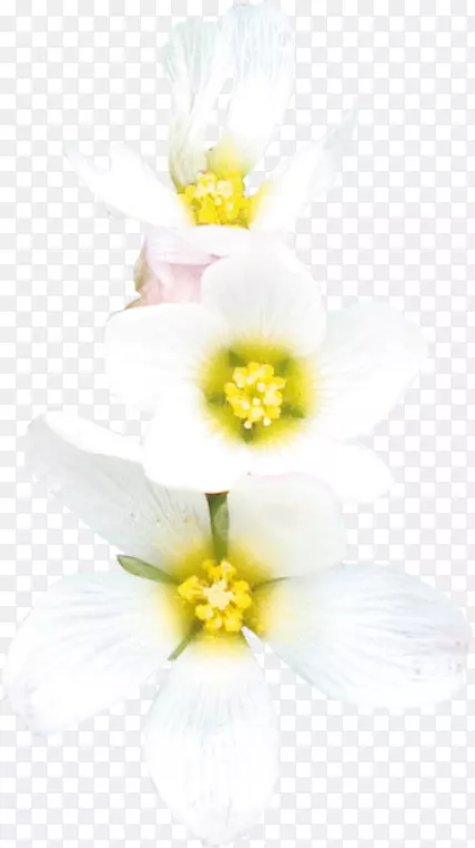 ˮ�ɻ��л�����-������