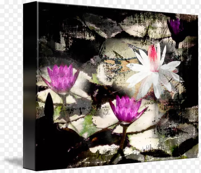 �������ͼƬ��.����-������