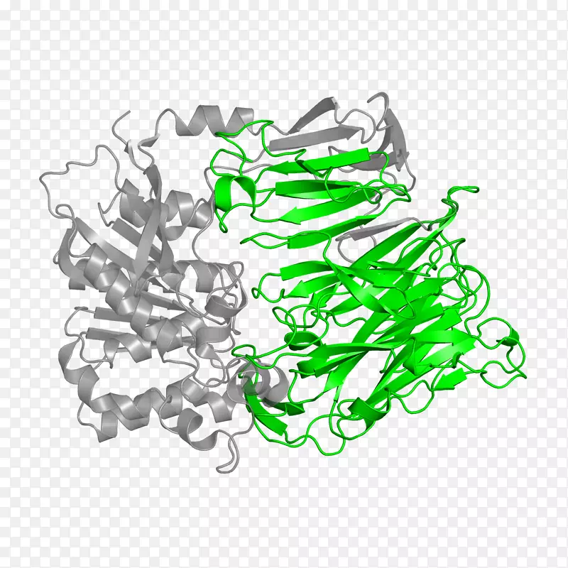 ��ľ������-��-������