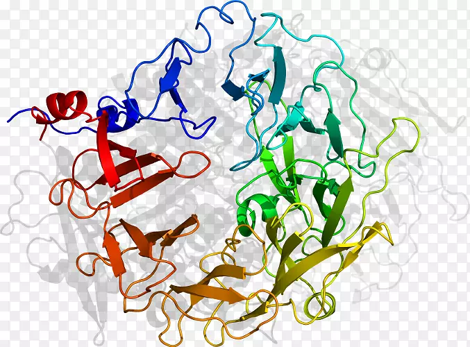 ������Ϊ���л�����������-������