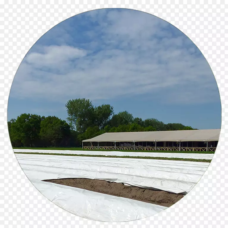 «�񵯳�ʽ�����������-������