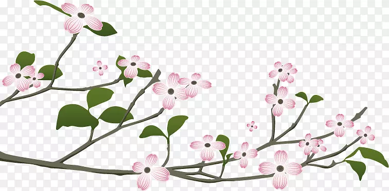 ���ͣ�ɽ���ǡ����ס�ӣ�ҡ��컨-������