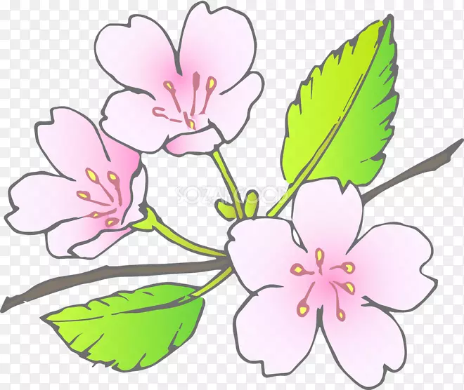 ������ƻ����л�ֲ�ﾥ-������