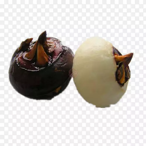 ˮ���ӱ����߲�-������