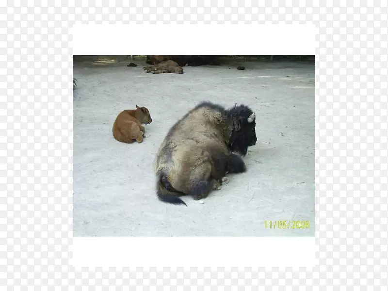 С�������ӽ�С��-������