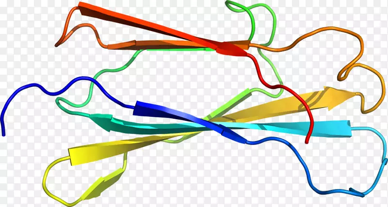 �ߵ������-��-������