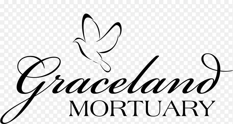 ��veno.com L.C.�����������칫˾��������-������