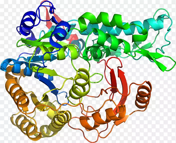 ���������л����߼�������-������