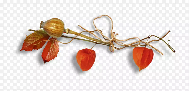 �＾���ǵ�Ůʿ��ɯ�������ز���ʳ��-����-������