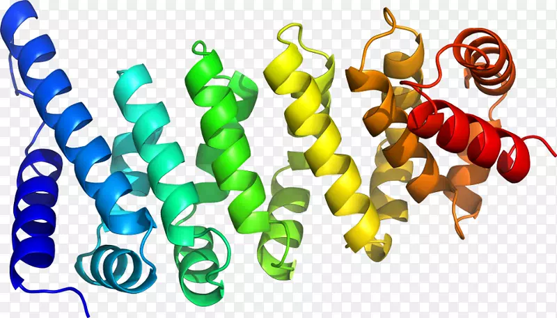 �л��������-������