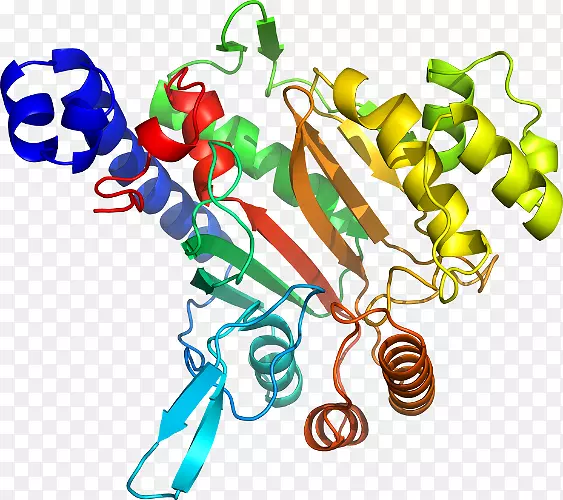 ���������л����߼�������-������