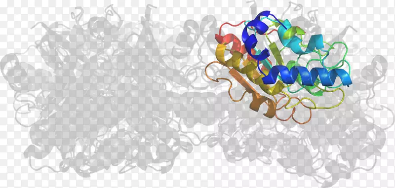 �鱦����-������