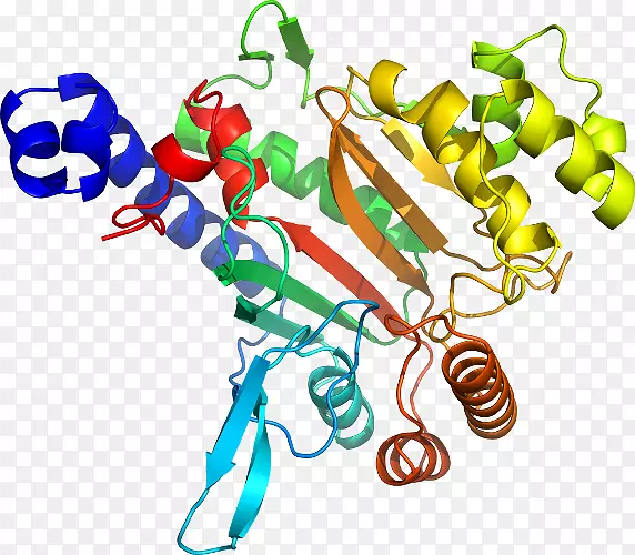 ���������л����߼�������-������