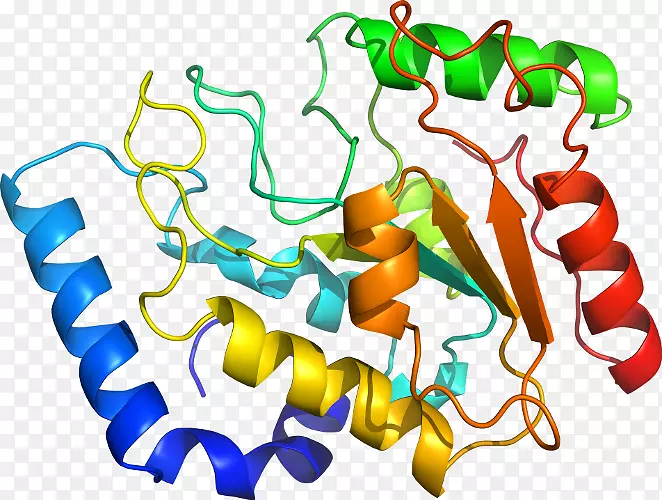 �����߶����������-������