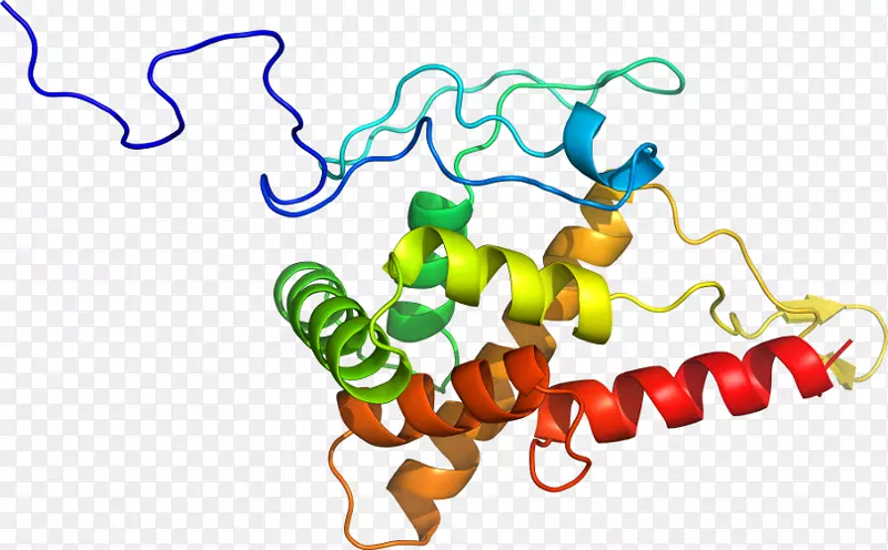 �߲��л���ϵ�м�����-�߲�-������