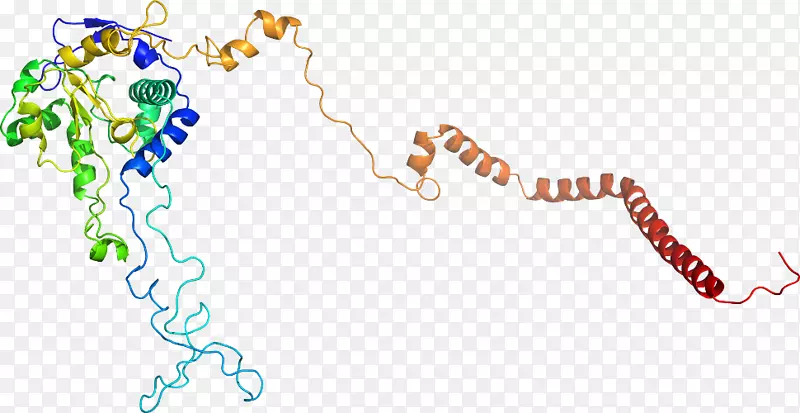 ֱ�ߵ����������������-������