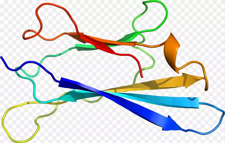 �ߵ������-��-������