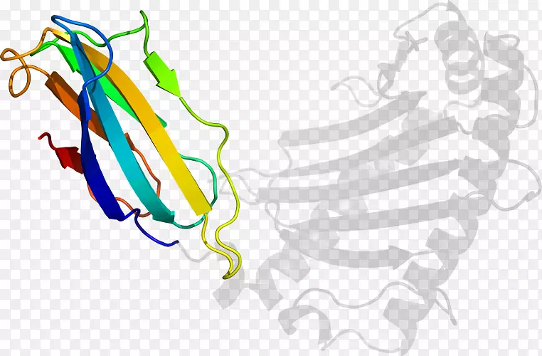 �ߵ������-��-������