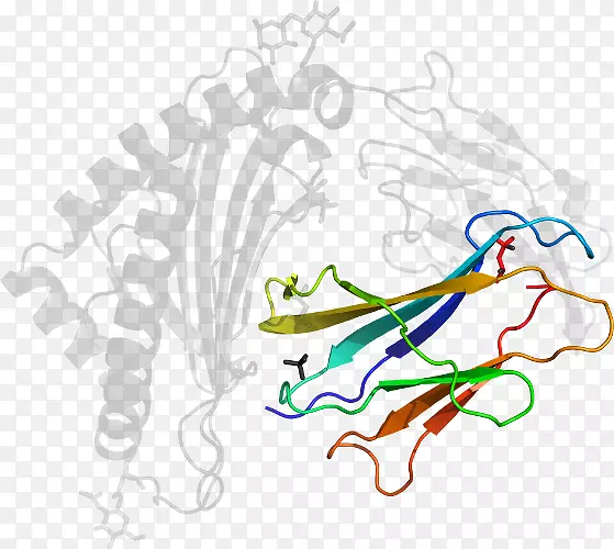 ��������ƽ����Ƽ��������-������