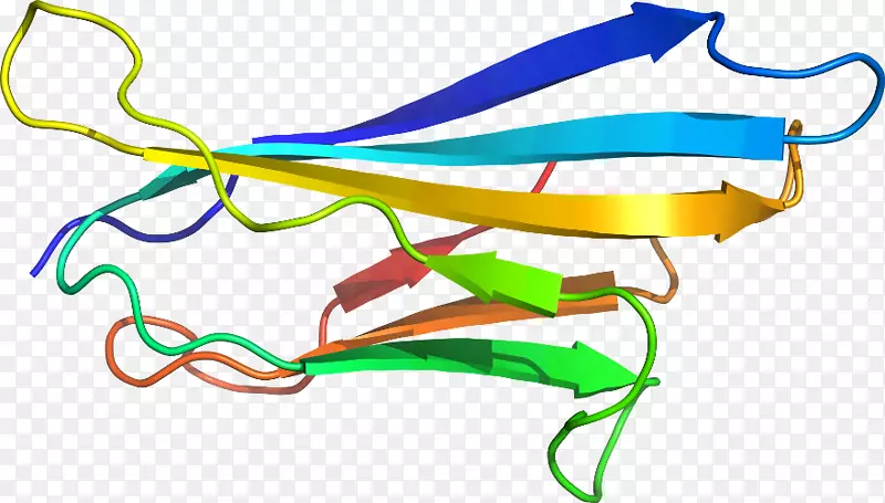 ��װ�����ߵ��������-������