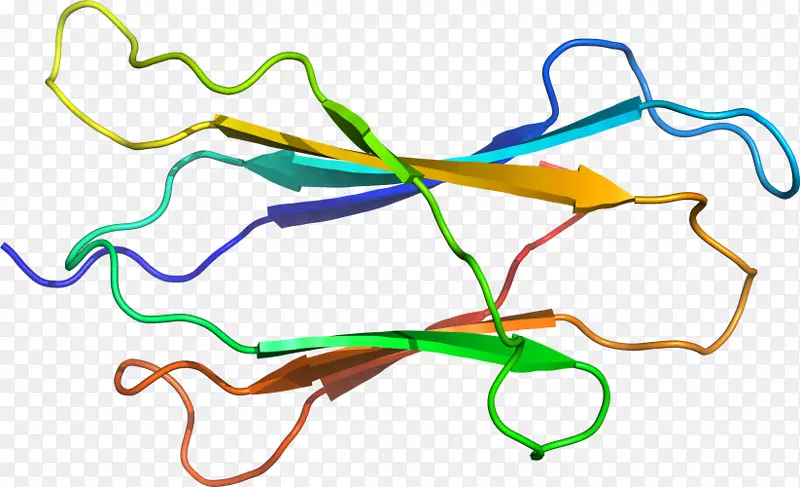 �ߵ������������-������