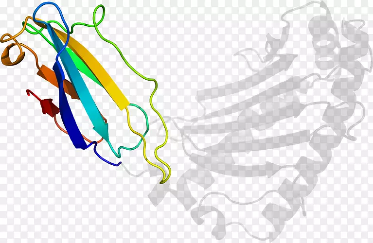 �ߵ������-��-������