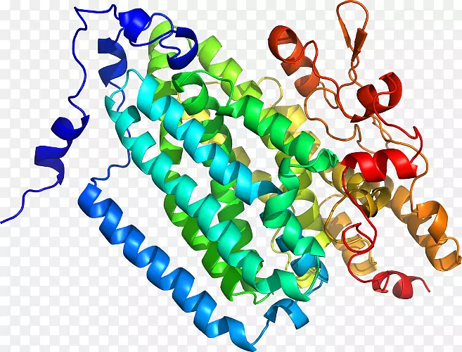 ���������л����߼�������-������