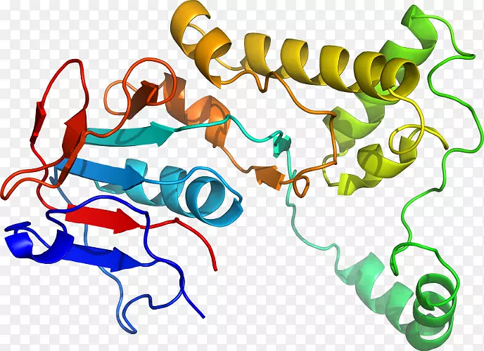 �ߵ������������-������