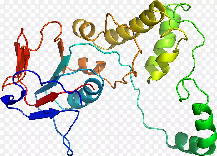 �ߵ������������-������