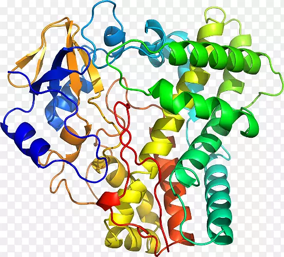 ���������л����߼�������-������