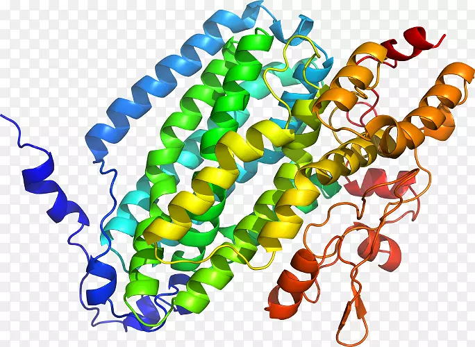 �����鱦���л����������-������