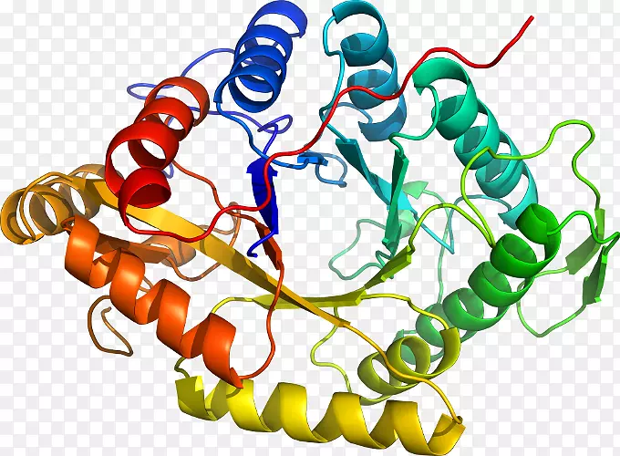 ���������л����߼�������-������