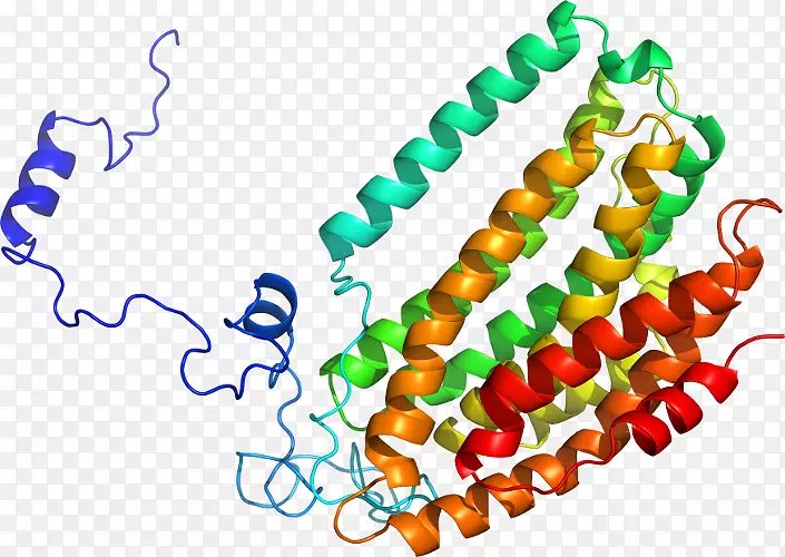 �����鱦�������.�鱦-������