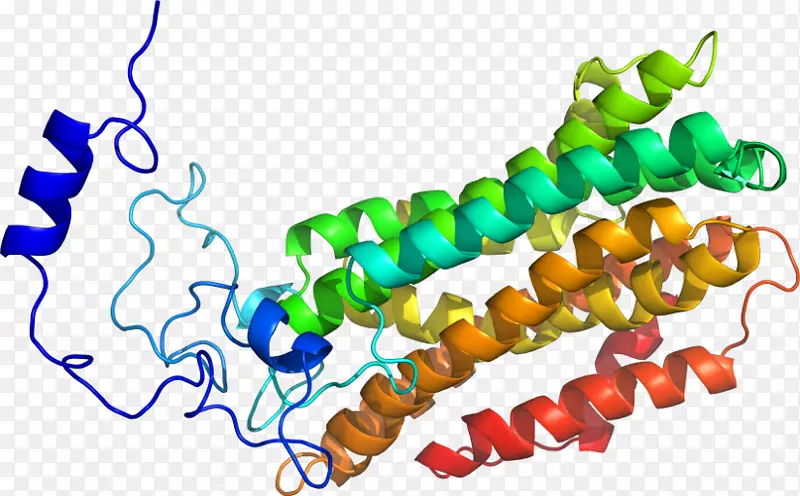 ���������л����߼�������-������