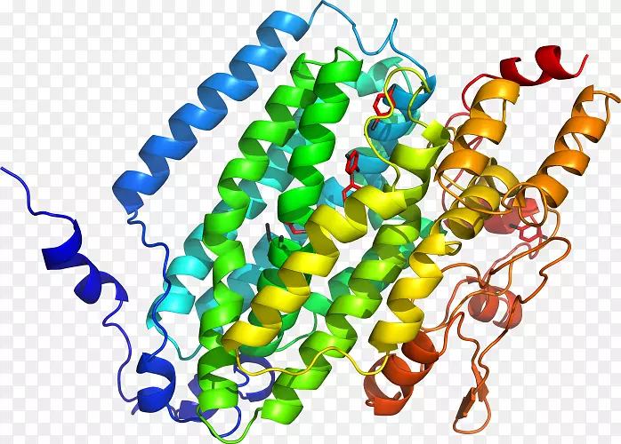 ���������л����߼�������-������