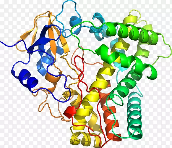 ������Ϊ���߼�������-������