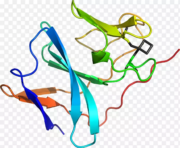 �ߵ������-��-������