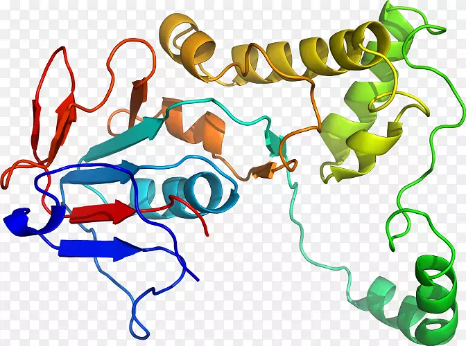 ֱ�ߵ����ﶯ���������-������